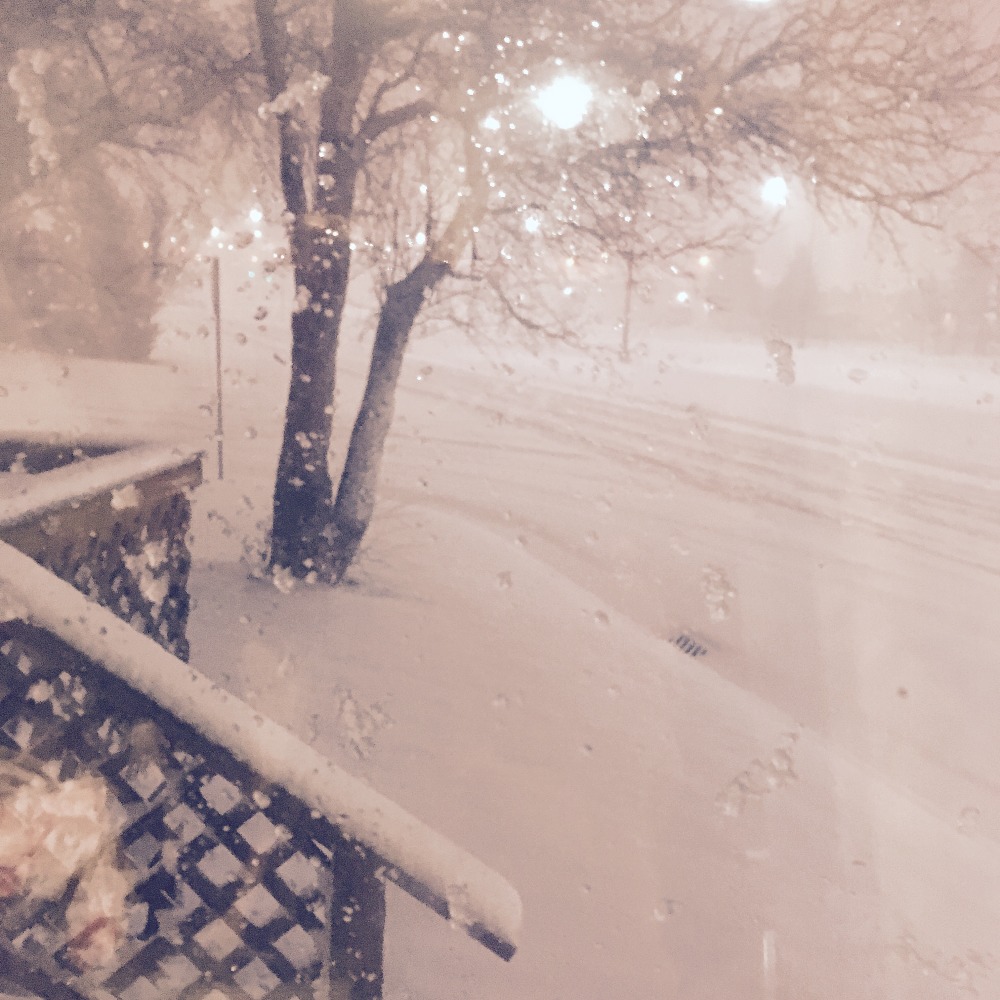 Meet your Posher, Tabitha